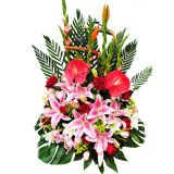 ʥʻٵ